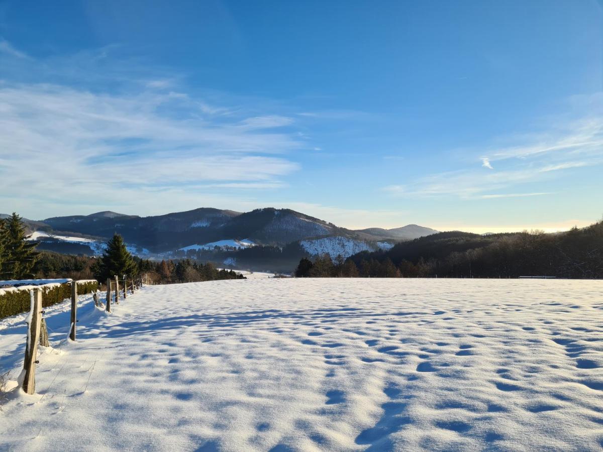 Ferienwohnung Auszeit Winterberg Zentrum Eksteriør bilde