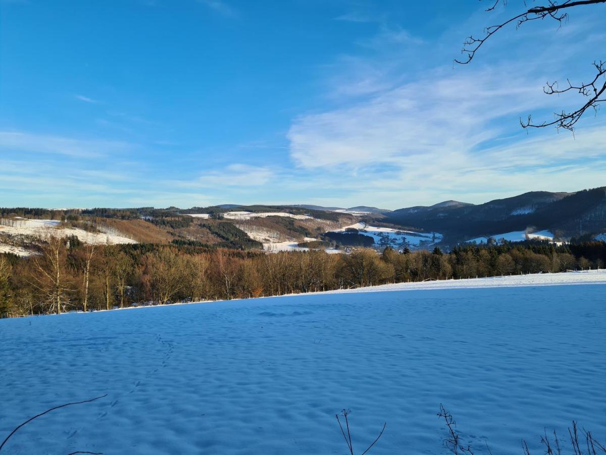 Ferienwohnung Auszeit Winterberg Zentrum Eksteriør bilde